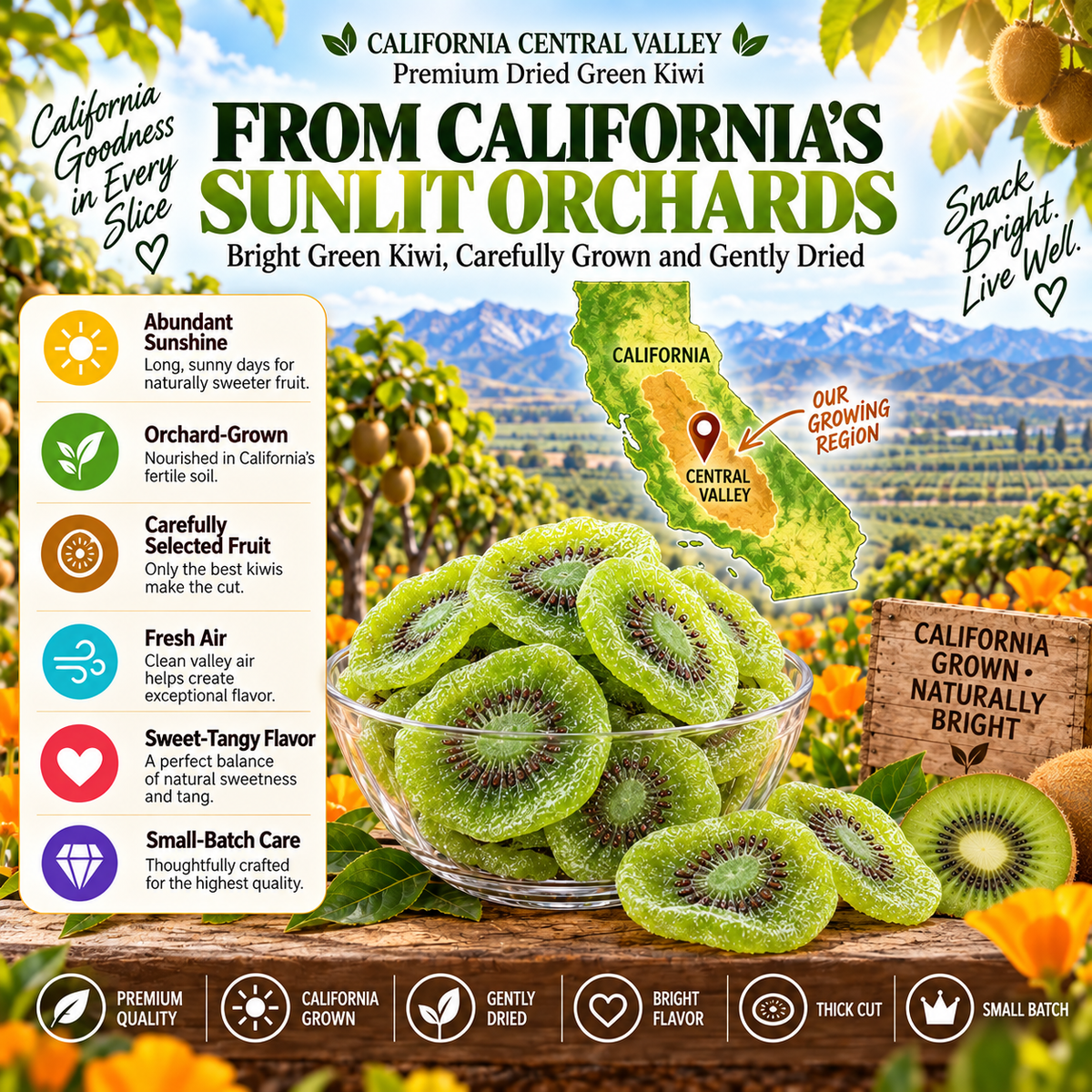 🔥 California-Grown Dried Green Kiwi — 🥝 A Bright, Chewy Fruit Snack for Active Living-ddh